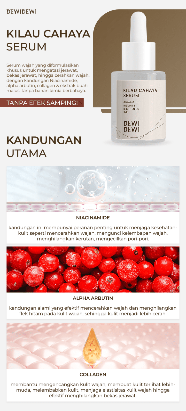 DEWIDEWI-BUNDLING-LP-3.png