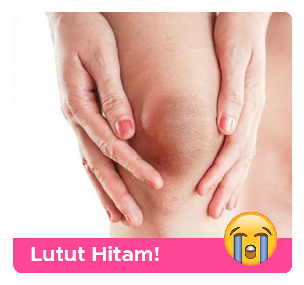 2-bahan-c.png