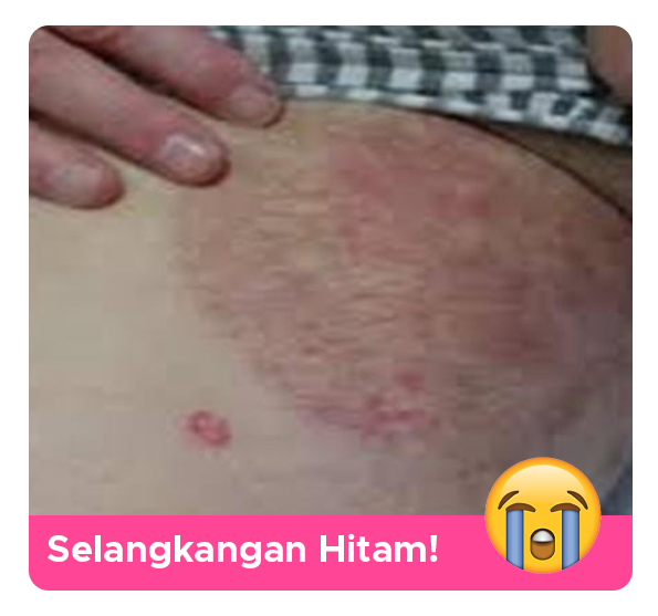 2-bahan-d.png