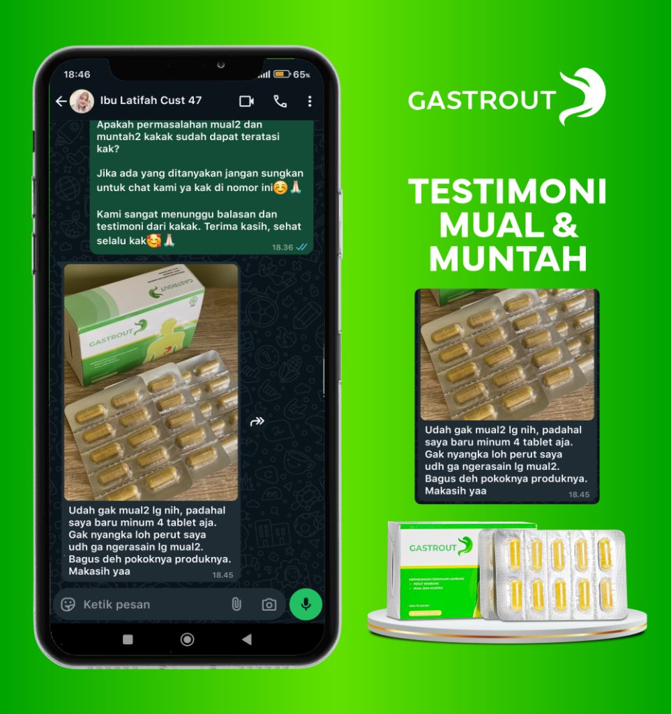 Gastrout 16