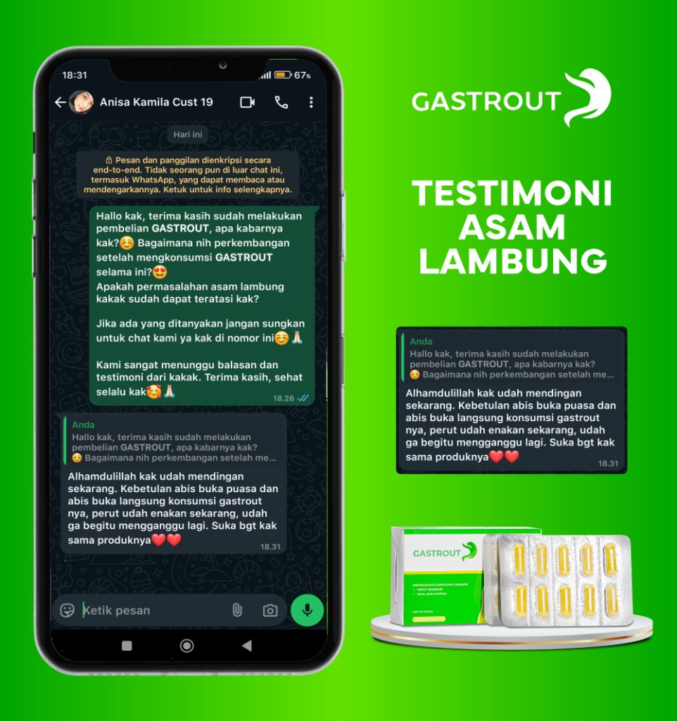 Gastrout 17