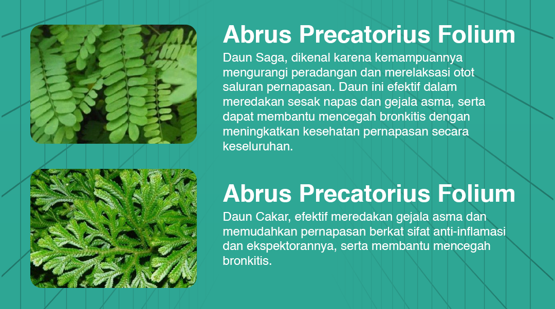 Kandungan 1
