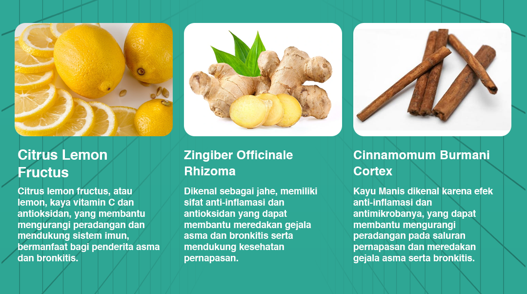 Kandungan 2
